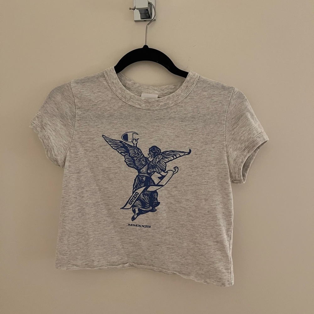 Danielle Guizio x Champion Cropped Graphic Gray Short Sleeve T-Shirt [Small]